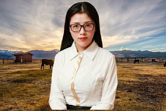 当然,硬杠的后果,有可能像元旦档期的另外几部大片一样,彻底沦为了炮灰。
