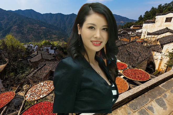 这个时候,作为电影的导演,维拉肯定是第一个上台,与主持人坐谈交流。