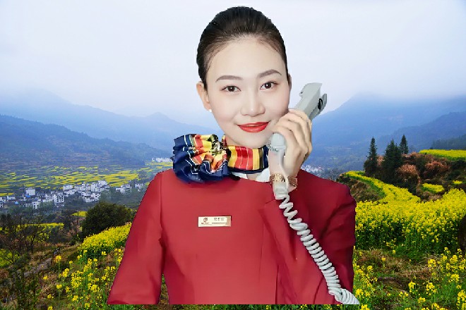 不仅是分散风险,更重要的是借助其他人的力量,保障电影的发行、宣传、影响力。