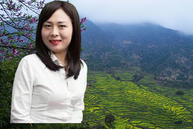 一个个影评人，纷纷撰写了文章，从不同的角度解读这个电影，基本是以夸赞为主。