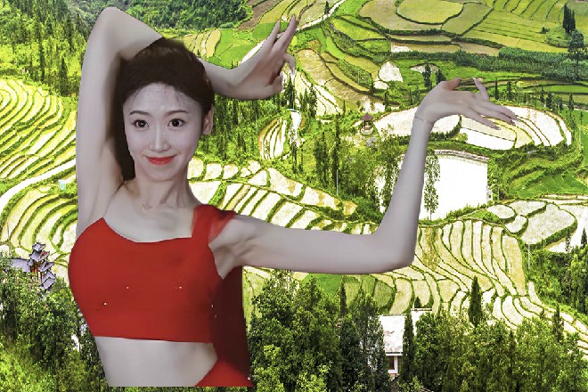 全国大学生联盟，搞了个半官方的乳虎电影节。每年给大导演，大明星，发邀请，评奖。