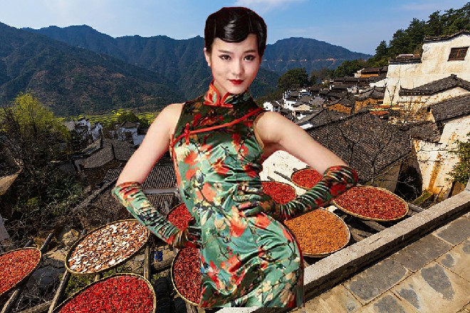 这样的导演,在行业中的序列很高,举足轻重,地位不见得比洛天幕差多少。
