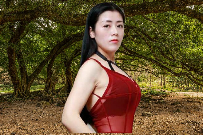 各种影视剧、综艺节目、动漫、记录片,还有娱乐资讯什么的,把网站填充饱满。